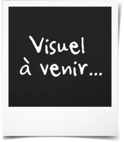 Michelin Wagenheber 009556 Hydraulisch -Volkswagen || AL-KO Verkaufsgeschäft 410fc6726aaff05b88f7291d126af54b