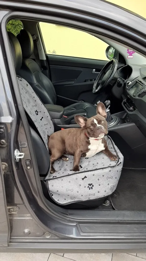 Autositzschoner Hundedecke VORDERSITZE Auto Hund Decke Vorne Sitzbezug 4A. Grau - Pfoten/Knochen 4 Autositzschoner Hundedecke VORDERSITZE Auto Hund Decke Vorne Sitzbezug 4A. Grau - Pfoten/Knochen – Bild 3